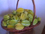 Frutas do meu p de Carambola, plantado no quintal da minha casa