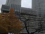 Prdios enormes compem a paisagem de Nagoya em meio a rvores tpicas da regio.