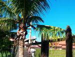 Envie fotos com seus pequenos prazeres do vero para participe@santa.com.br