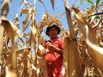 Luiz Carlos Moratelli em guas de Chapec