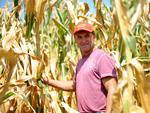 Agricultor Valdecir Camatti em Planalto Alegre