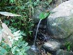 A natureza que atrai durante toda a trilha 