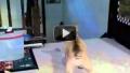 (Reprodu��o, Youtube)