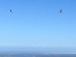 Avio se preparando pra planar em Osorio.