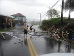 Vendaval provoca estragos em Blumenau