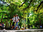 Local: Centro da Cidade
