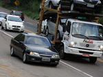 Condutores e  pedestres cometem imprudncias na Rodovia em Blumenau
