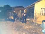 Operao Navalha, que conta com 600 policiais e 140 viaturas, alm de dois ces farejadores,  realizada nas zonas urbana e rural de So Borja.