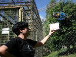 Animais sofrem em zoolgico abandonado no Alto Vale. Arara