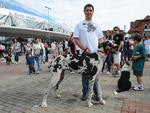 Passeio rene 1,2 mil ces