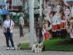 Passeio rene 1,2 mil ces