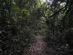 Parque So Francisco de Assis