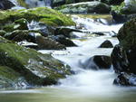 Correnteza do Ribeiro Garcia, no Parque das Nascentes