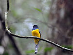 Parque Nacional Serra do Itaja