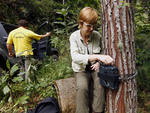 Parque Nacional Serra do Itaja