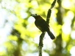 Parque Nacional Serra do Itaja