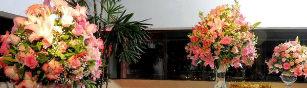 (Flor de Noiva Eventos e Decora��o/Divulga��o)