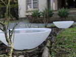 Detalhes preservam a histria de quem j morou no imvel. As roseiras que dona Victria, esposa de Willy, tanto gostava foram mantidas no jardim.