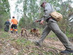 Por terra, seguem as buscas com c�es farejadores da Associa��o de Volunt�rios com C�es de Busca e Resgate (Avoc-BR) e policiais da Brigada Militar de Agudo, do Batalh�o de Opera��es Especiais (BOE) de Santa Maria, bombeiros Volunt�rios de Agudo e moradores.