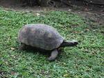 Quinta-feira: Parque Zoobotnico de Brusque completa 20 anos