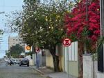Primavera, a estao mais cheia de vida