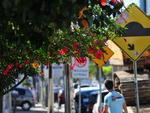 Primavera, a estao mais cheia de vida