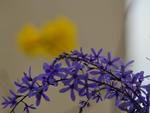 Primavera, a estao mais cheia de vida