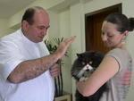Quinta-feira - Padre Joo Bachmann benze animais no dia de So Francisco de Assis, em Blumenau     