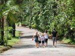 Parque Jardim Botnico, em Timb