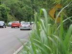 Sinalizao escondida dificulta a orientao aos motoristas que trafegam pela BR-470