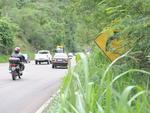 Sinalizao escondida dificulta a orientao aos motoristas que trafegam pela BR-470