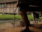 Viver em Pomerode  morar numa casinha colonial. 