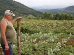 Viver em Pomerode  trabalhar duro. Ralf Lach comea a rotina diria s 5h na roa. Ele vende os legumes e verdures para mercados e escolas da regio.