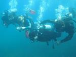 Descobertas e sentimentos do mergulho no fundo do mar fazem parte da programao de vero em Santa Catarina 