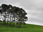Temperaturas mais amenas e mudanas nas paisagens marcam o comeo do outono em Blumenau