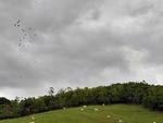 Temperaturas mais amenas e mudanas nas paisagens marcam o comeo do outono em Blumenau