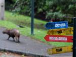 Temperaturas mais amenas e mudanas nas paisagens marcam o comeo do outono em Blumenau
