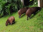 Temperaturas mais amenas e mudanas nas paisagens marcam o comeo do outono em Blumenau