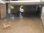 Ribeiro Garcia atinge casas na regio da Rua Emilio Tallmann, em Blumenau