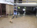 Quinta-feira: Moradores da Rua Emilio Tallmann, no Bairro Progresso, em Blumenau, passaram a manh de quinta-feira removendo a gua e a lama que atingiu 10 casas devido ao transbordamento do Ribeiro Garcia na madrugada