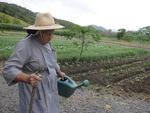 Irm Crdula Butzke persiste, aos 83 anos, nas tarefas que lhe acompanham a vida toda