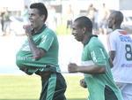 Metropolitano goleou o Cambori por 4 a 0, pelo Campeonato Catarinense. A partida foi disputada no domingo de Pscoa e com o resultado, o Verdo chegou a 23 pontos na classificao geral
