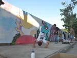 A Rua Itapiranga, nos fundos da Vila Germnica, em Blumenau, recebeu as cores e formas de 25 grafiteiros que participaram do projeto Escritores de Rua.