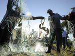 Quarta-feira: Parque Ramiro Ruediger, em Blumenau, recebe manuteno. No lago, trabalhadores encontraram, alm de peixes, lixo, brinquedos e partitura