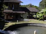 Fechado desde 2008, o Parque Botnico do Morro do Ba ganhou um projeto que permitir reabri-lo. Um laudo da Defesa Civil atesta que a estrutura est segura, mas falta a prefeitura alinhar detalhes com a ONG Herbrio Barbosa Rodrigues, que administra o parque