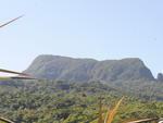 Fechado desde 2008, o Parque Botnico do Morro do Ba ganhou um projeto que permitir reabri-lo. Um laudo da Defesa Civil atesta que a estrutura est segura, mas falta a prefeitura alinhar detalhes com a ONG Herbrio Barbosa Rodrigues, que administra o parque