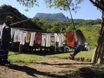 Quinta-feira: Prefeitura de Ilhota planeja reabrir o Parque Botnico do Morro do Ba