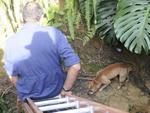 Resgate foi feito na manh desta segunda-feira, na Rua Francisco Vahldieck, no Bairro Fortaleza. No se sabe se a cachorrinha caiu ou se foi abandonada prximo ao crrego