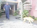 Resgate foi feito na manh desta segunda-feira, na Rua Francisco Vahldieck, no Bairro Fortaleza. No se sabe se a cachorrinha caiu ou se foi abandonada prximo ao crrego