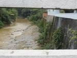 Tera-feira: Poder pblico de Blumenau pede ajustamento do Cdigo Florestal